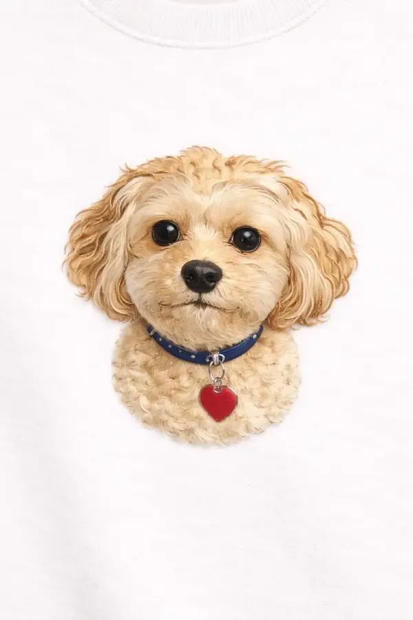 Cavapoo Puppy.webp