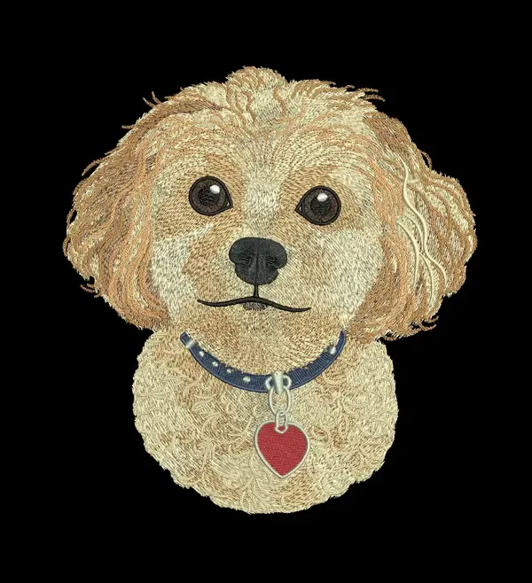 Close-up hand punched embroidery digitizing of a poodle mix puppy face showing layered fur shading and gradient tones