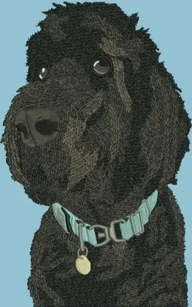 Realistic black Labradoodle face embroidery digitizing stitched on light blue fabric with visible fur shading and collar detail